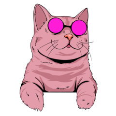 Cat Popart Pink