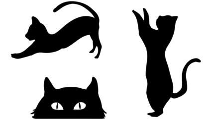 Cat Shadow Black