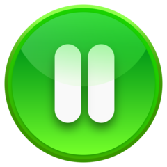 Circle Pause Button Green Logo