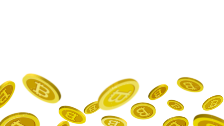 Coin Display Bottom