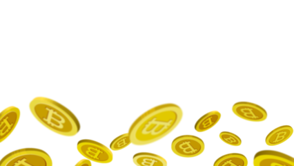Coin Display Bottom
