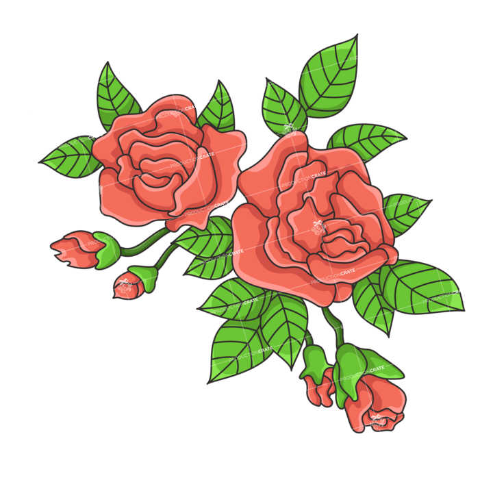 Flower Roses