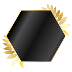 Full Badge Gold Black