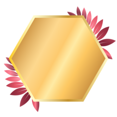 Full Badge Gold Pink