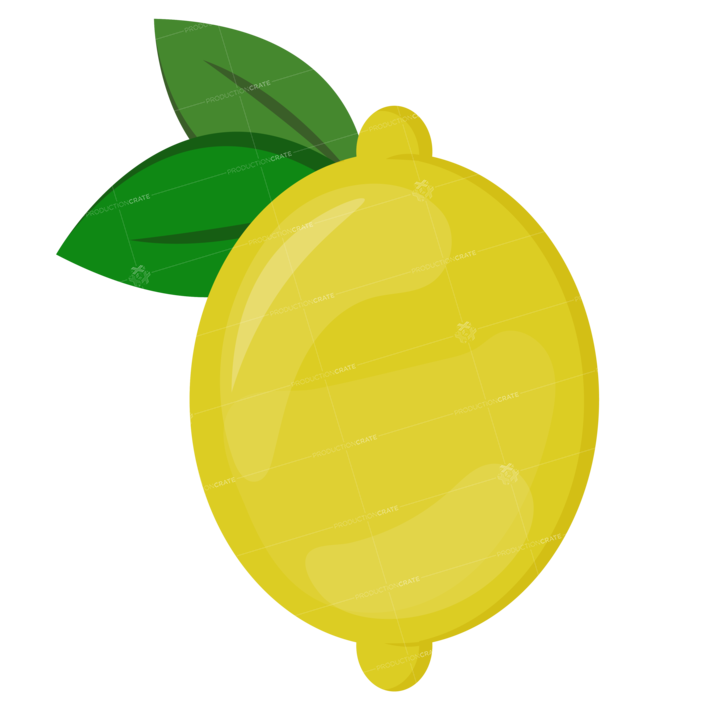 Lemon Illustration