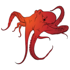 Octopus Graffiti Color