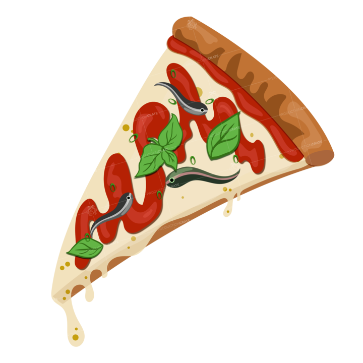 Pizza Anchovi Illustration
