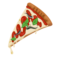 Pizza Anchovi Illustration