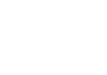 Spiderweb Full