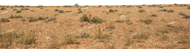 Desert Landscape Extension 1