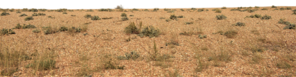 Desert Landscape Extension HD 4K