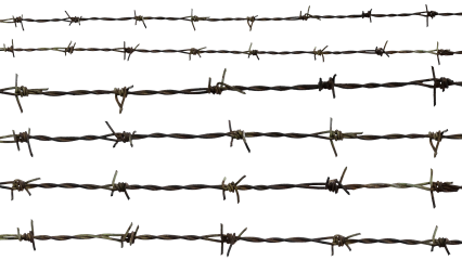 Barbed Wire HD 7K