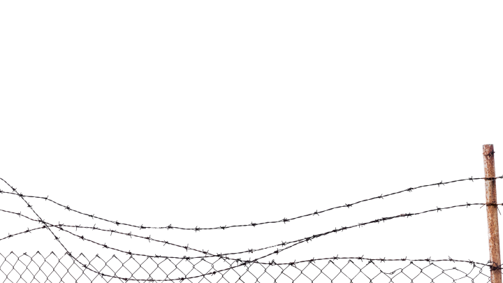 Barbed Wire Fence 18