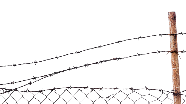 Barbed Wire Fence 19