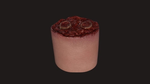 3D Model: Bloody Stumps Arm