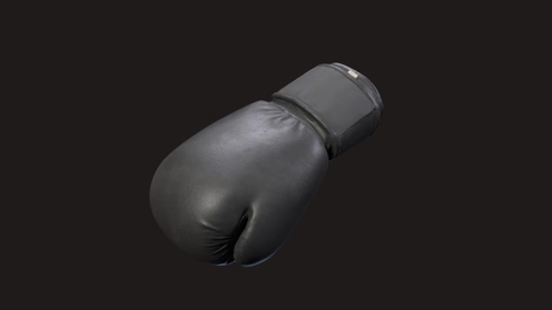 3D Model: Boxing Gloves