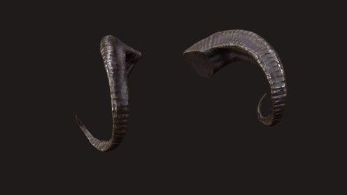 3D Model: Demon Horns