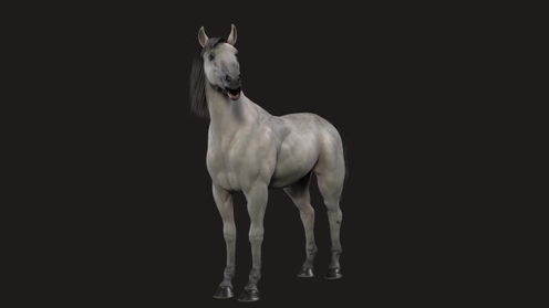 3D Model: Horse