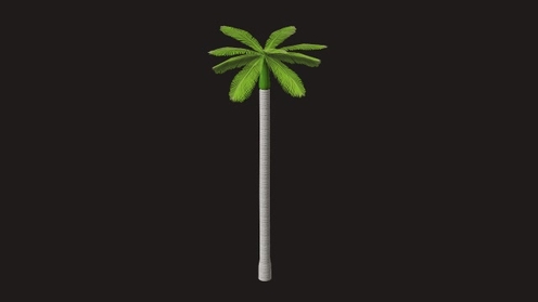 3D Model: Palm Tree Low Poly 1