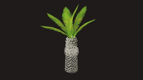 3D Model: Palm Tree Low Poly 2
