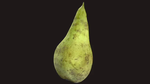 3D Model: Pear