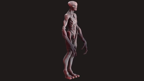3D Model: Alien Creature Rig (FBX + OBJ)
