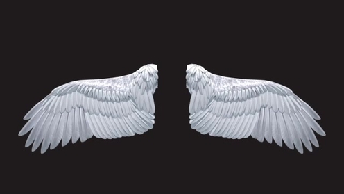 3D Model: Angel Wings