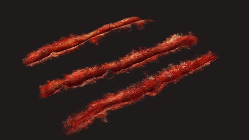 3D Model: Claw Marks 1