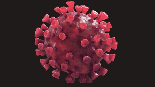 3D Model: Coronavirus 1