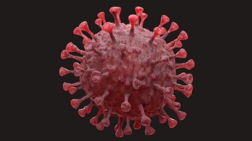 3D Model: Coronavirus 2