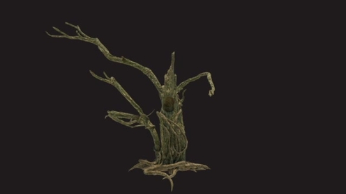 3D Model: Dead Creepy Tree 1