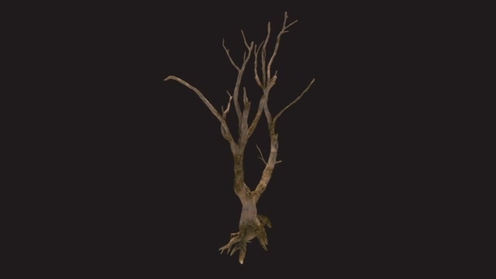 3D Model: Dead Creepy Tree 2