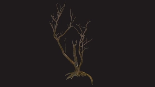3D Model: Dead Creepy Tree 3