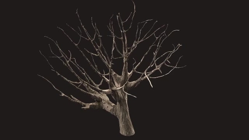 3D Model: Dead Tree 2