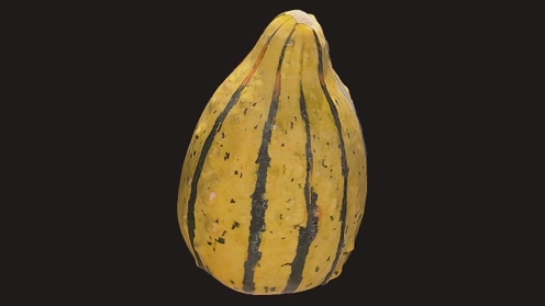 3D Model: Gourd 1