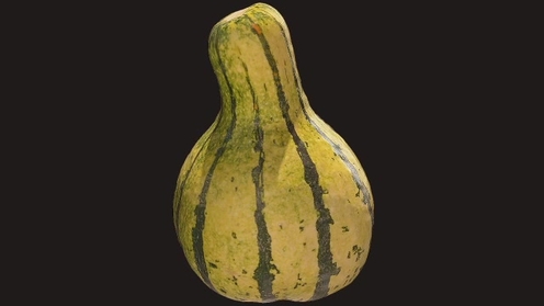 3D Model: Gourd 2