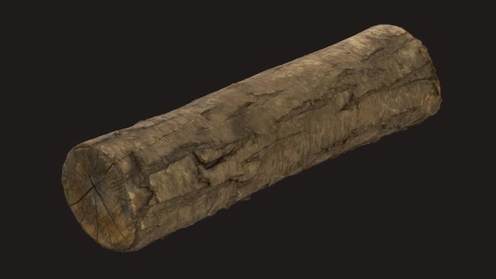 3D Model: Firewood Log 1