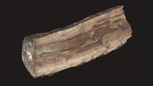 3D Model: Firewood Log 4