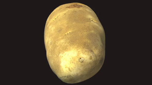 3D Model: Potato 1