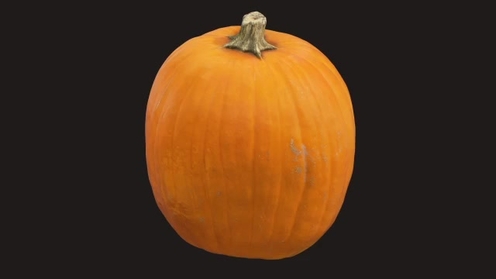 3D Model: Pumpkin 1
