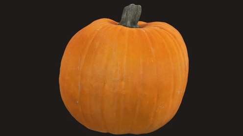 3D Model: Pumpkin 2