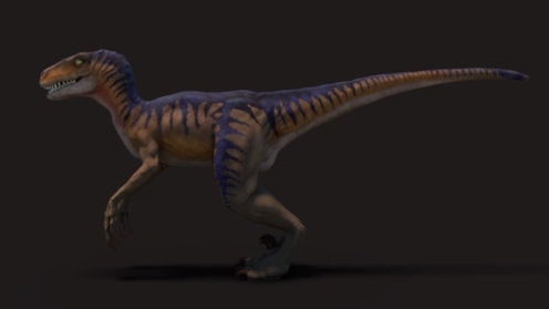 3D Model: Velociraptor