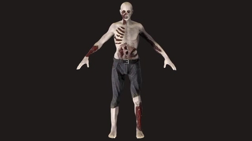 3D Model: Zombie Rig (FBX + OBJ)